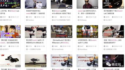 智云WEEBILL穩(wěn)定器量產(chǎn)版“黑”評(píng)測 專業(yè)攝影師的掌中利器
